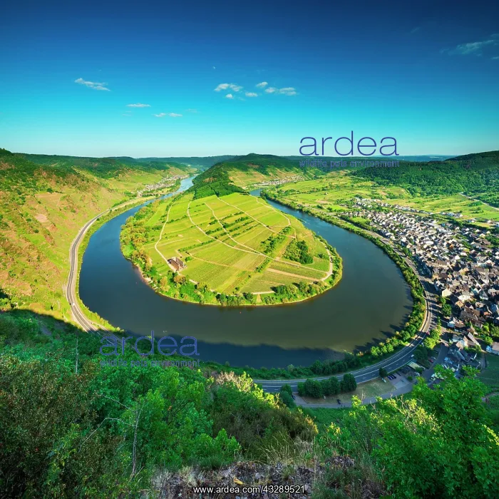  : View of the Moselle loop, Bremm, Moselle valley