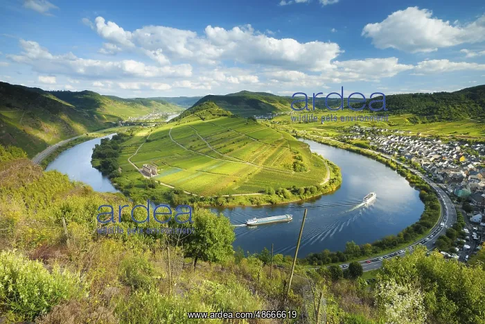 : View of the Moselle loop, Bremm, Moselle valley : View of the Moselle loop, Bremm, Moselle valley