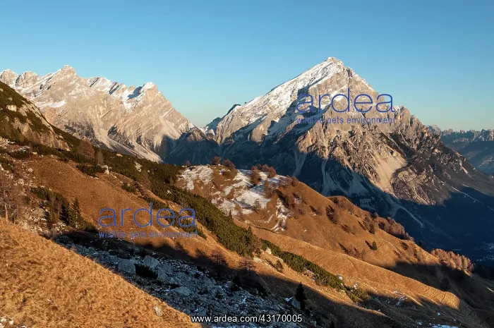 : View of mount Antelao with first snow : View of mount Antelao with first snow
