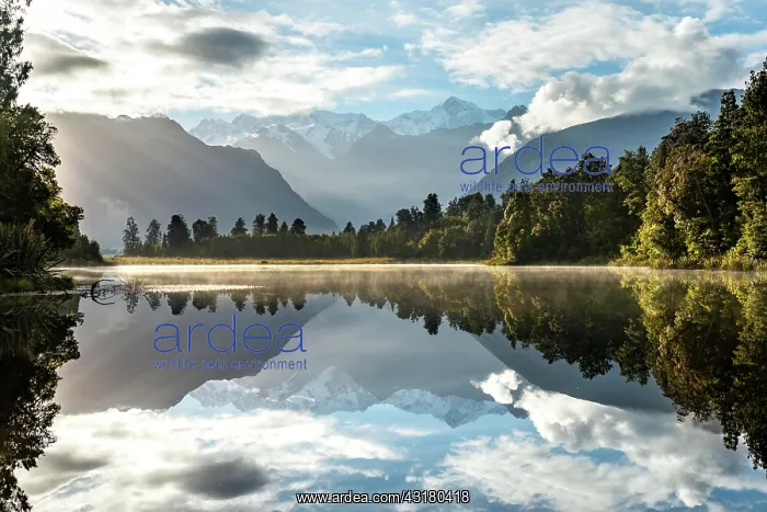 : View of Mount Cook and Mount Tasman in morning light : View of Mount Cook and Mount Tasman in morning light