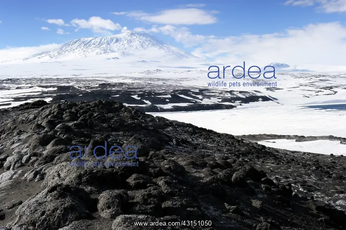 : View on Mount Erebus in landscape : View on Mount Erebus in landscape