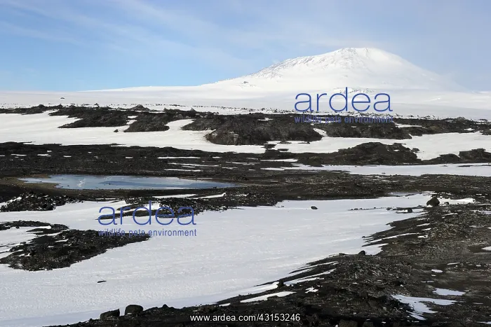 : View on Mount Erebus in landscape : View on Mount Erebus in landscape