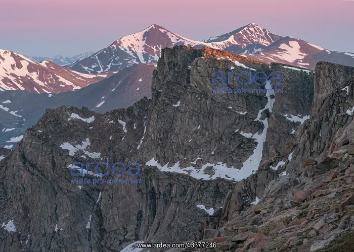 : View from Mount Evans of Mount Bierstadt and The : View from Mount Evans of Mount Bierstadt and The