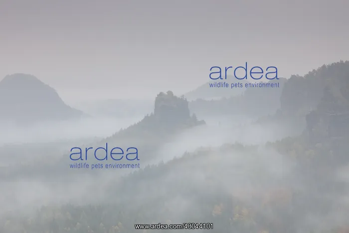: View from Mount Gleitmannshorn over the little : View from Mount Gleitmannshorn over the little