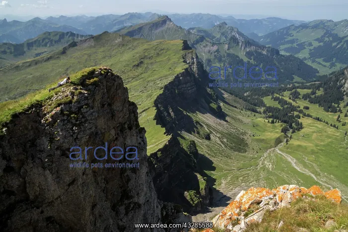 : View from Mount Hoher Ifen, near Hirschegg, behind : View from Mount Hoher Ifen, near Hirschegg, behind