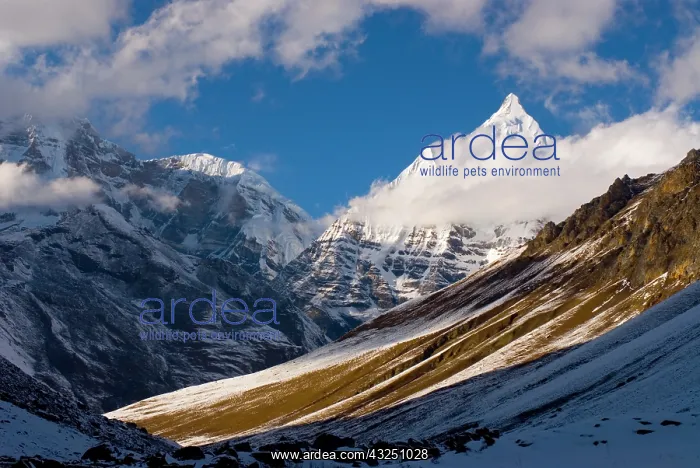  : View of Mount Jichu Drake, Bhutan