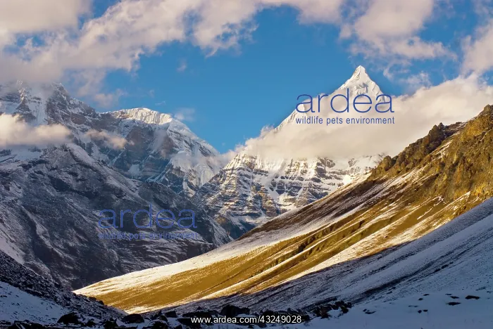 : View of Mount Jichu Drake, Bhutan near Sophu : View of Mount Jichu Drake, Bhutan near Sophu