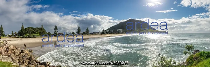 : View to Mount Manganui with beach, view from Moturiki : View to Mount Manganui with beach, view from Moturiki