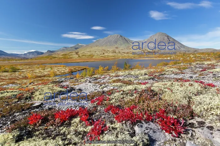: View at mount Stygghoin in autumn at Doraldalen - Rondane Na : View at mount Stygghoin in autumn at Doraldalen - Rondane Na