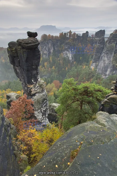 : View at mount Wehlnadel at valley Wehlgrund - : View at mount Wehlnadel at valley Wehlgrund -