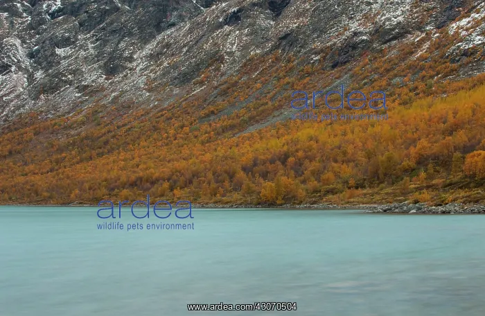 : View over mountain landscape in autumn colors with a lake in : View over mountain landscape in autumn colors with a lake in