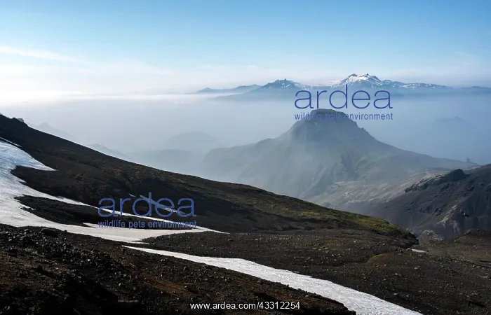 : View of mountain peaks between fog, peak Utigonguhofdi : View of mountain peaks between fog, peak Utigonguhofdi