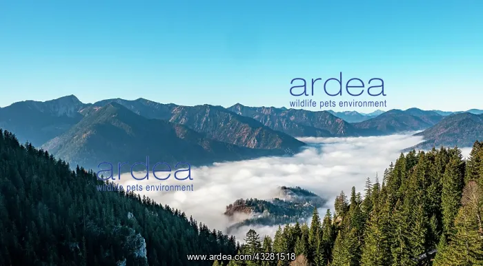 : View of mountain peaks with fog over the valley : View of mountain peaks with fog over the valley