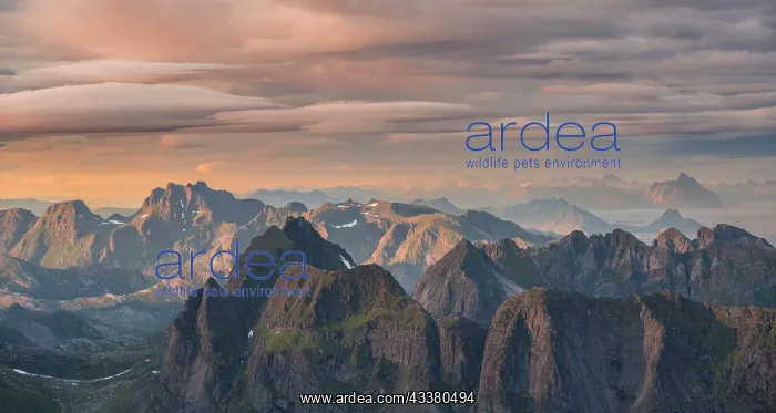: View over mountain tops and sea, mountains in evening : View over mountain tops and sea, mountains in evening