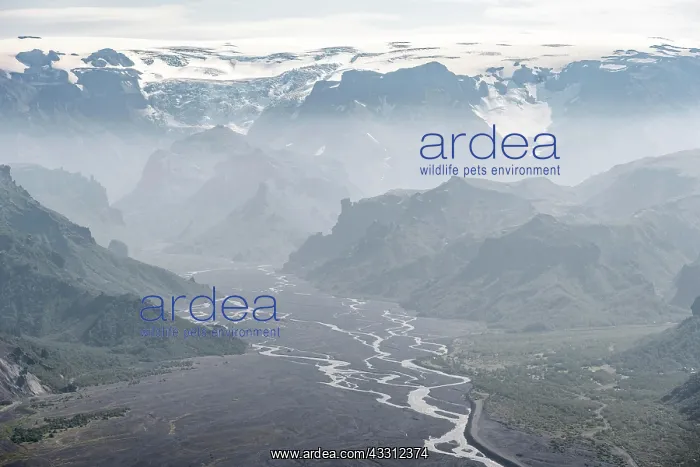 : View into mountain valley with glacier river Krossa : View into mountain valley with glacier river Krossa