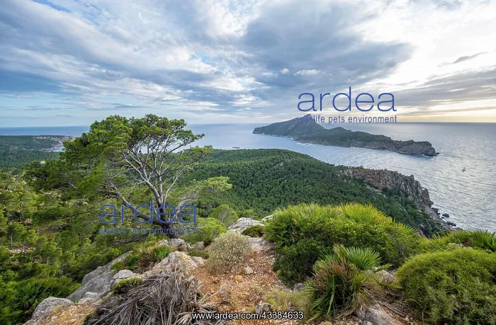 : View of mountains and coast with sea, hiking to La Trapa fro : View of mountains and coast with sea, hiking to La Trapa fro