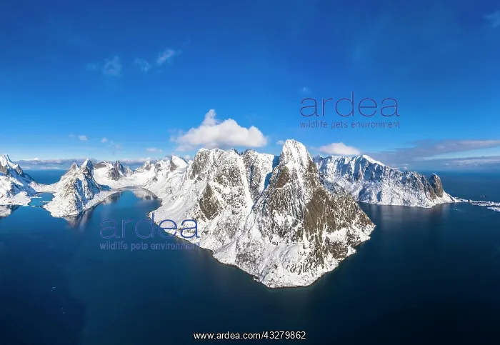 : View of mountains and fjords near Reinebringen : View of mountains and fjords near Reinebringen
