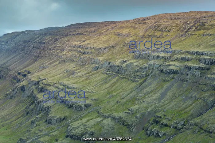 : View at the mountains of Fossarfell - Austurland : View at the mountains of Fossarfell - Austurland