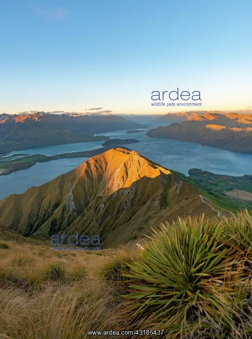 : View of mountains and lake from Mount Roy, Roys : View of mountains and lake from Mount Roy, Roys