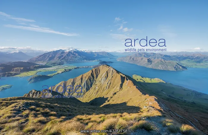 : View of mountains and lake, Roys Peak, Lake Wanaka : View of mountains and lake, Roys Peak, Lake Wanaka