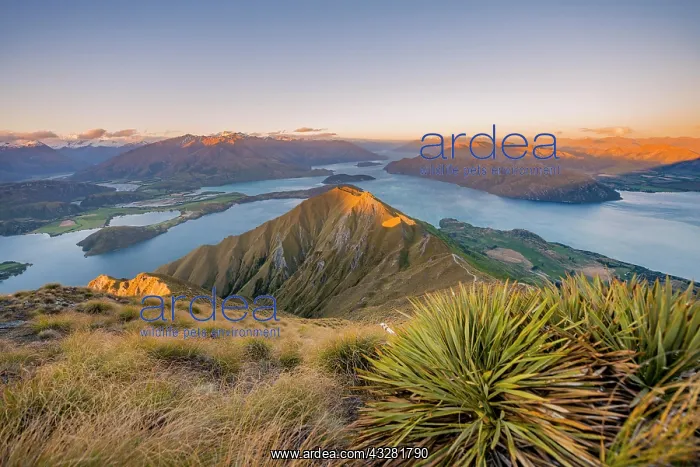 : View of mountains and lake, Roys Peak at sunset : View of mountains and lake, Roys Peak at sunset