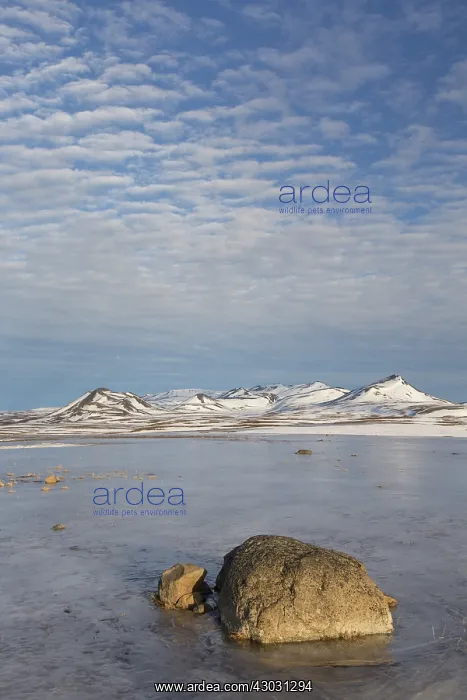 : View at the mountains of Lambafjoell - Austurland - Iceland : View at the mountains of Lambafjoell - Austurland - Iceland