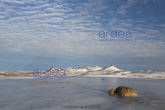 : View at the mountains of Lambafjoell - Austurland - Iceland : View at the mountains of Lambafjoell - Austurland - Iceland