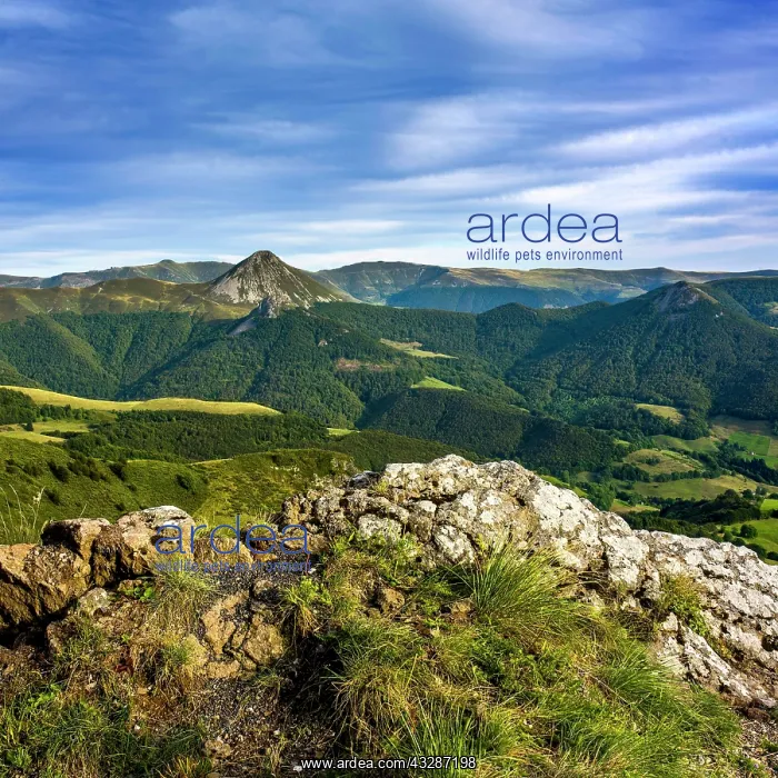 : View on mountains Puy Griou and Monts du Cantal : View on mountains Puy Griou and Monts du Cantal