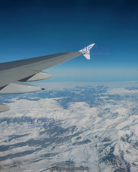 : View of mountains and snowy landscape from the airplane : View of mountains and snowy landscape from the airplane