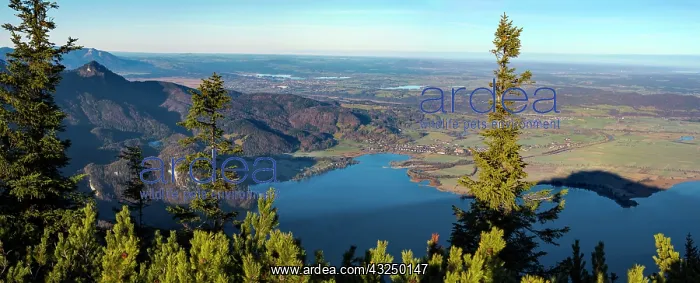 : View from Mt. Jochberg near lake Walchensee towards : View from Mt. Jochberg near lake Walchensee towards