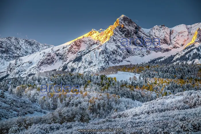 : View of Mt. Wilson from Dallas Divide in Colorado : View of Mt. Wilson from Dallas Divide in Colorado