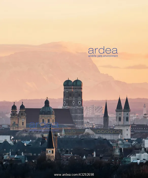 : View over Munich with Church of Our Lady, Theatine : View over Munich with Church of Our Lady, Theatine