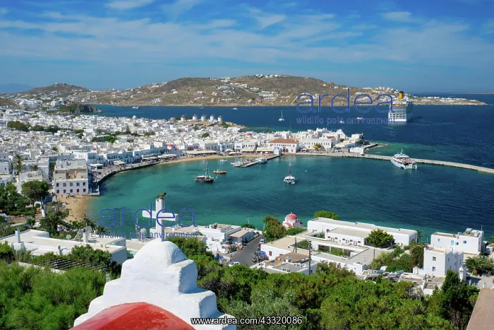 : View of Mykonos town, travel destination with famous : View of Mykonos town, travel destination with famous