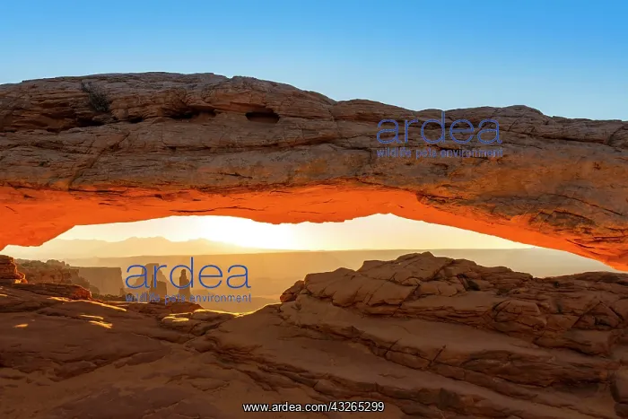 : View through Natural Arch, Mesa Arch, Sunrise, Grand : View through Natural Arch, Mesa Arch, Sunrise, Grand