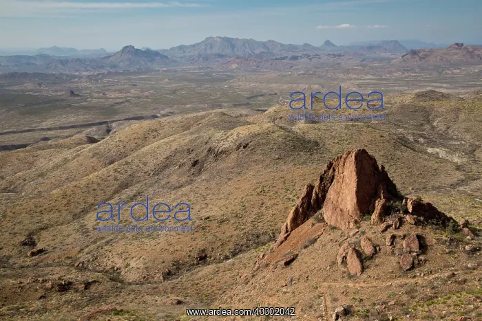 : View north-westwards from the Chisos Mountains - : View north-westwards from the Chisos Mountains -
