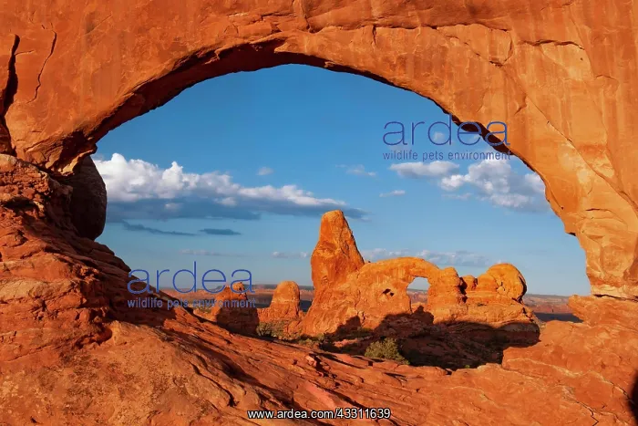 : View through the North Window rock arch in the morning : View through the North Window rock arch in the morning