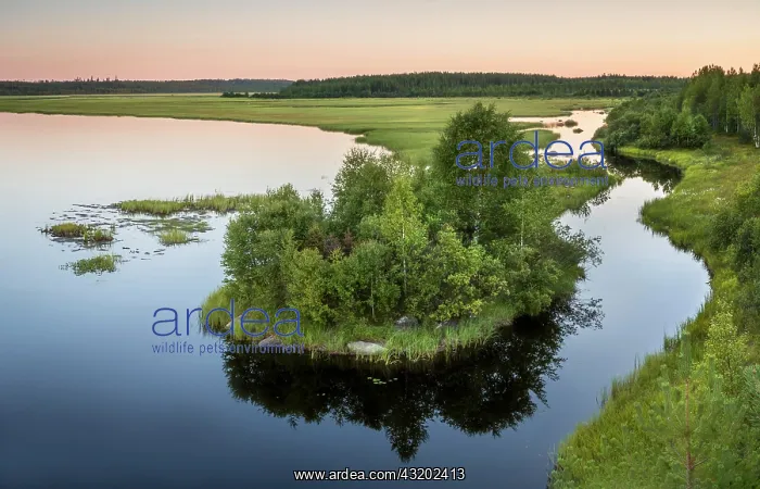 : View from top of observation tower, sunset at the : View from top of observation tower, sunset at the