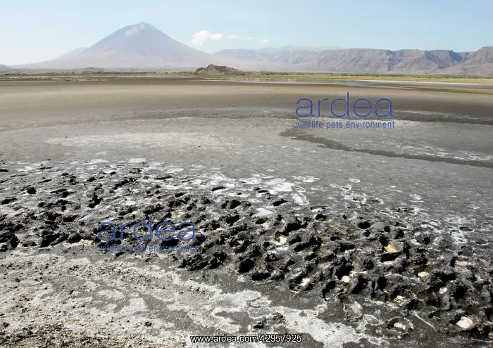 : View of Oldoynio Lengai Volcano / The Mountain of God : View of Oldoynio Lengai Volcano / The Mountain of God