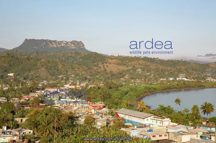  : View of the outskirts of Baracoa and the El Yunque