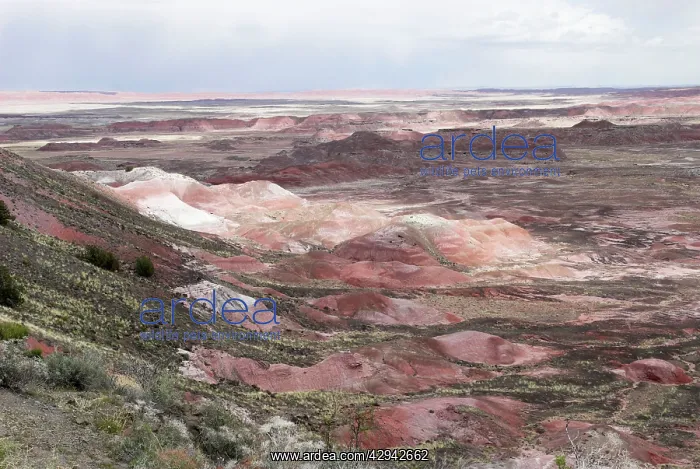 : View over Painted Desert : View over Painted Desert