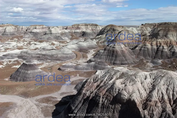 : View over Painted Desert showing coloured strata : View over Painted Desert showing coloured strata