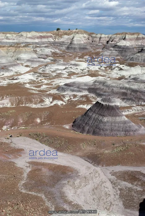 : View over Painted Desert showing rock strata, the : View over Painted Desert showing rock strata, the