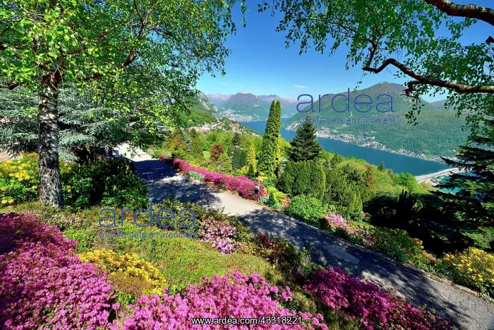 : View from Parco San Grato on Lake Lugano with lake : View from Parco San Grato on Lake Lugano with lake