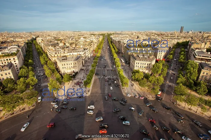 : View over Paris from the top of Arc de Triomphe : View over Paris from the top of Arc de Triomphe
