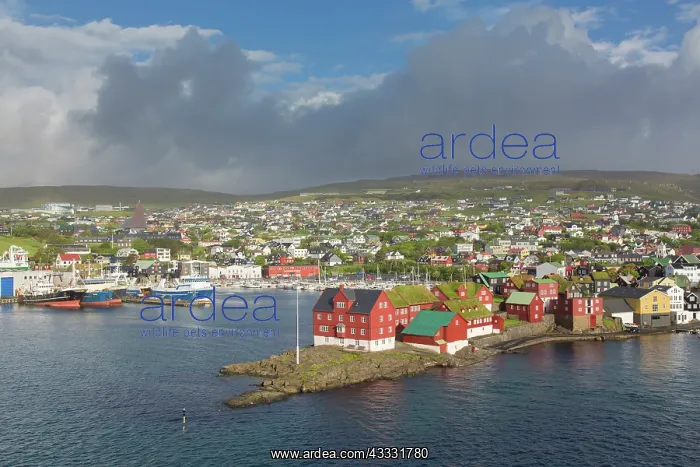 : View of the parliament on the Tinganes peninsula : View of the parliament on the Tinganes peninsula