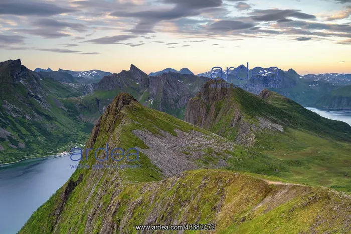 : View over the peaks of Senja, Norway, Europe : View over the peaks of Senja, Norway, Europe
