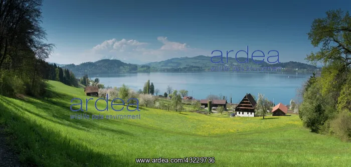 : view of picturesque Swiss mountain and lake landscape