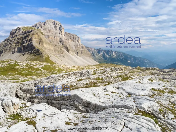 : View towards Pietra Grande. The Brenta Dolomites : View towards Pietra Grande. The Brenta Dolomites