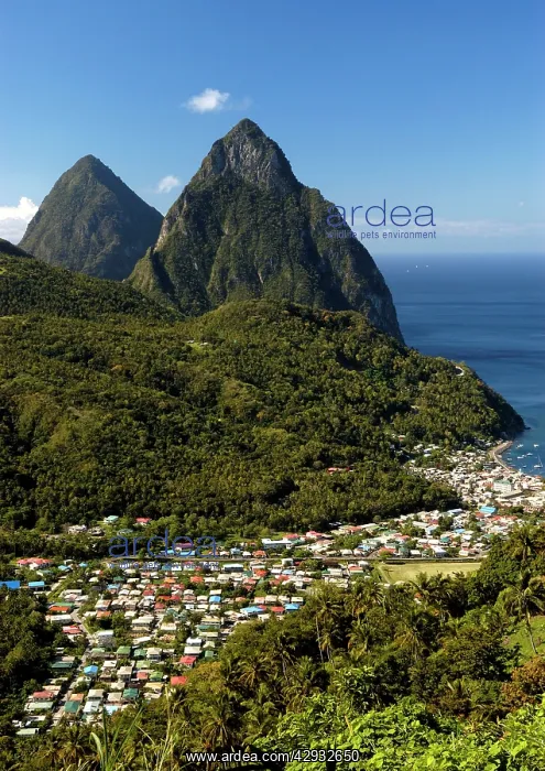 : A view of The Pitons Mountains, with dense green : A view of The Pitons Mountains, with dense green