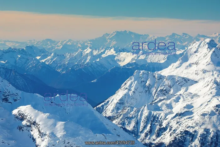 : View from Piz Corvatsch, 3451m, Graubuenden, Switzerland : View from Piz Corvatsch, 3451m, Graubuenden, Switzerland